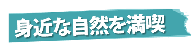 商品1