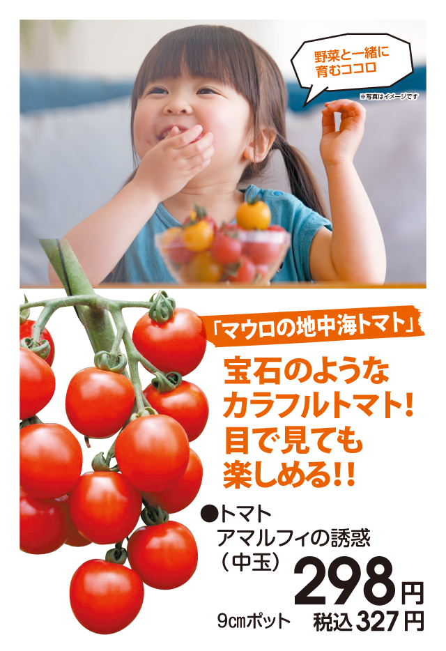 ジョイフル本田】おいしいを育てよう
