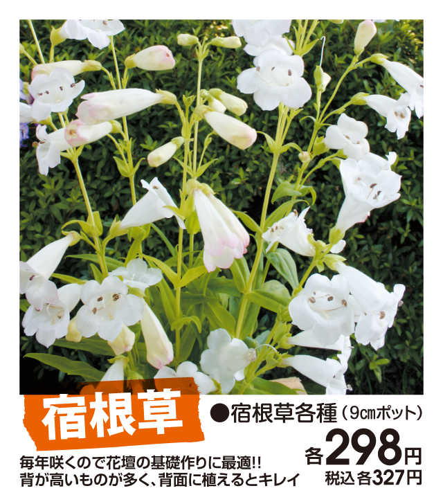 商品5
