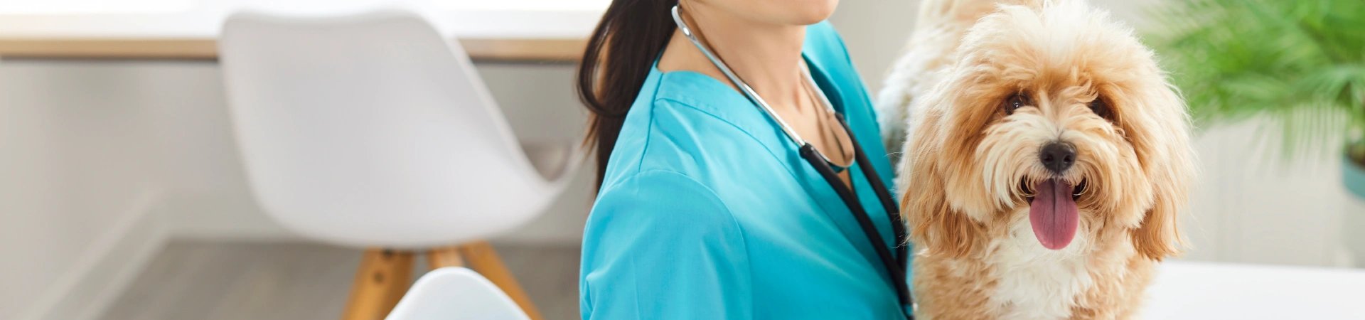 【HOSPITAL】店内併設の動物病院