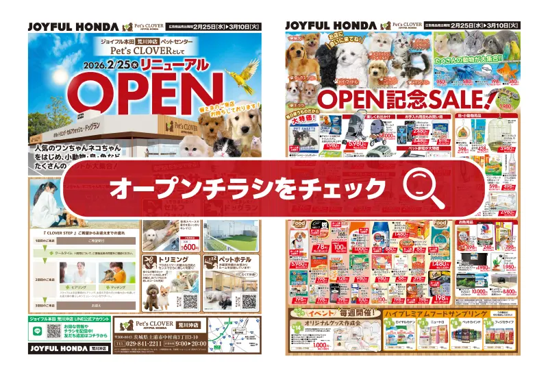 オープンチラシをチェック