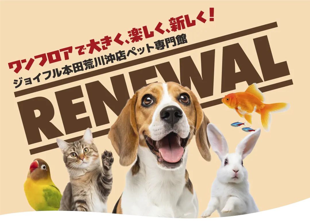【ジョイフル本田 荒川沖店】ペット専門館 リニューアル