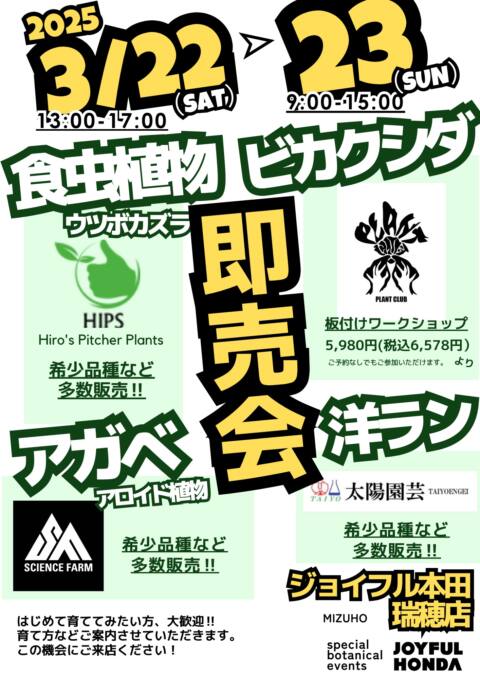 ジョイフル本田 各店イベント情報ページ